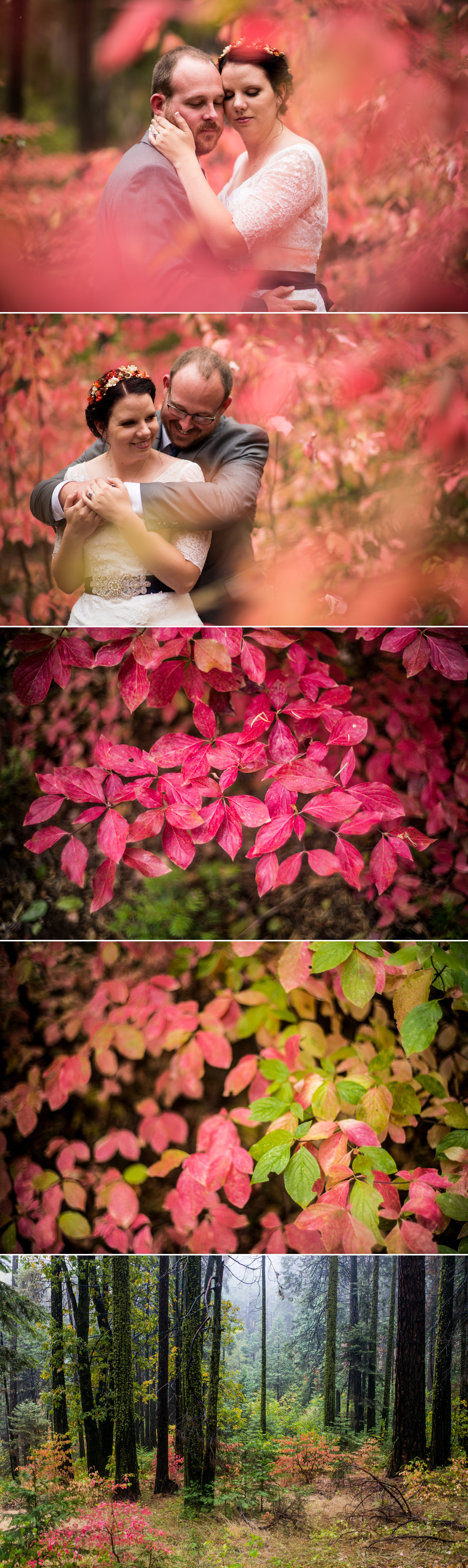 yosemite-wedding-photography-by-brian-macstay-photography-3